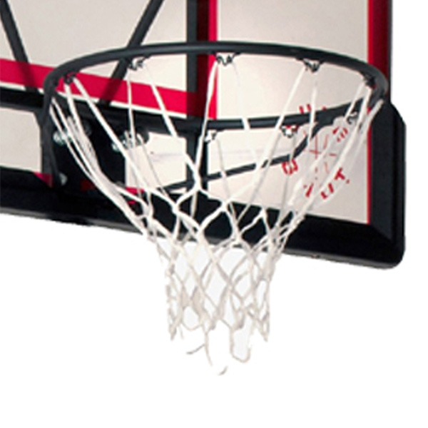 Acrylic Backboard and Ring - Image 2