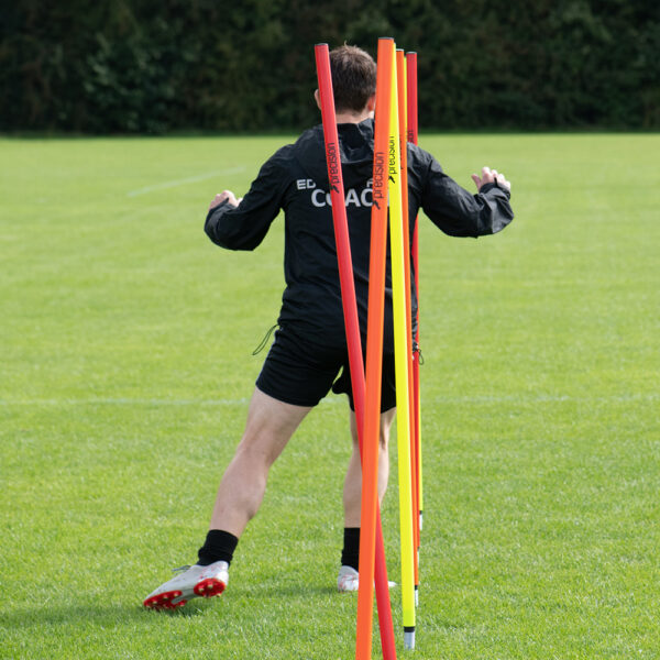 Boundary Poles Mix – (Base Sold Separately) - Image 4