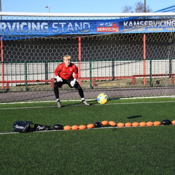 Ball Deflector Line - Image 4