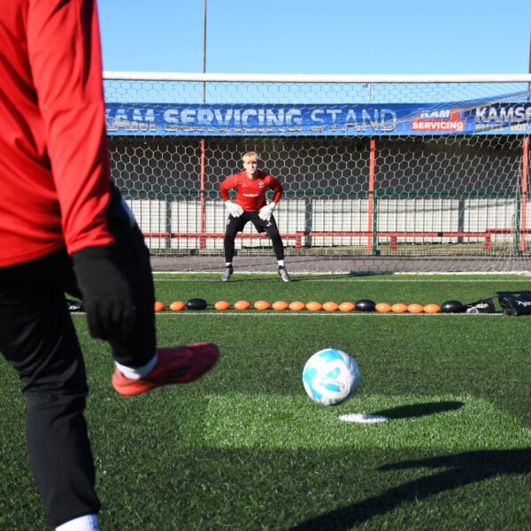 Ball Deflector Line - Image 3