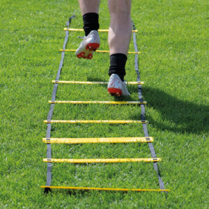 Adjustable Speed Ladder