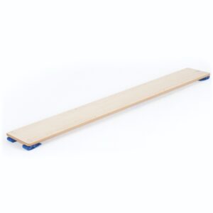 Balance/Slide Plank