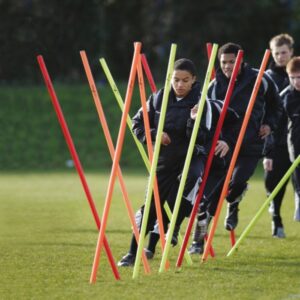 Boundary Poles Mix – (Base Sold Separately)